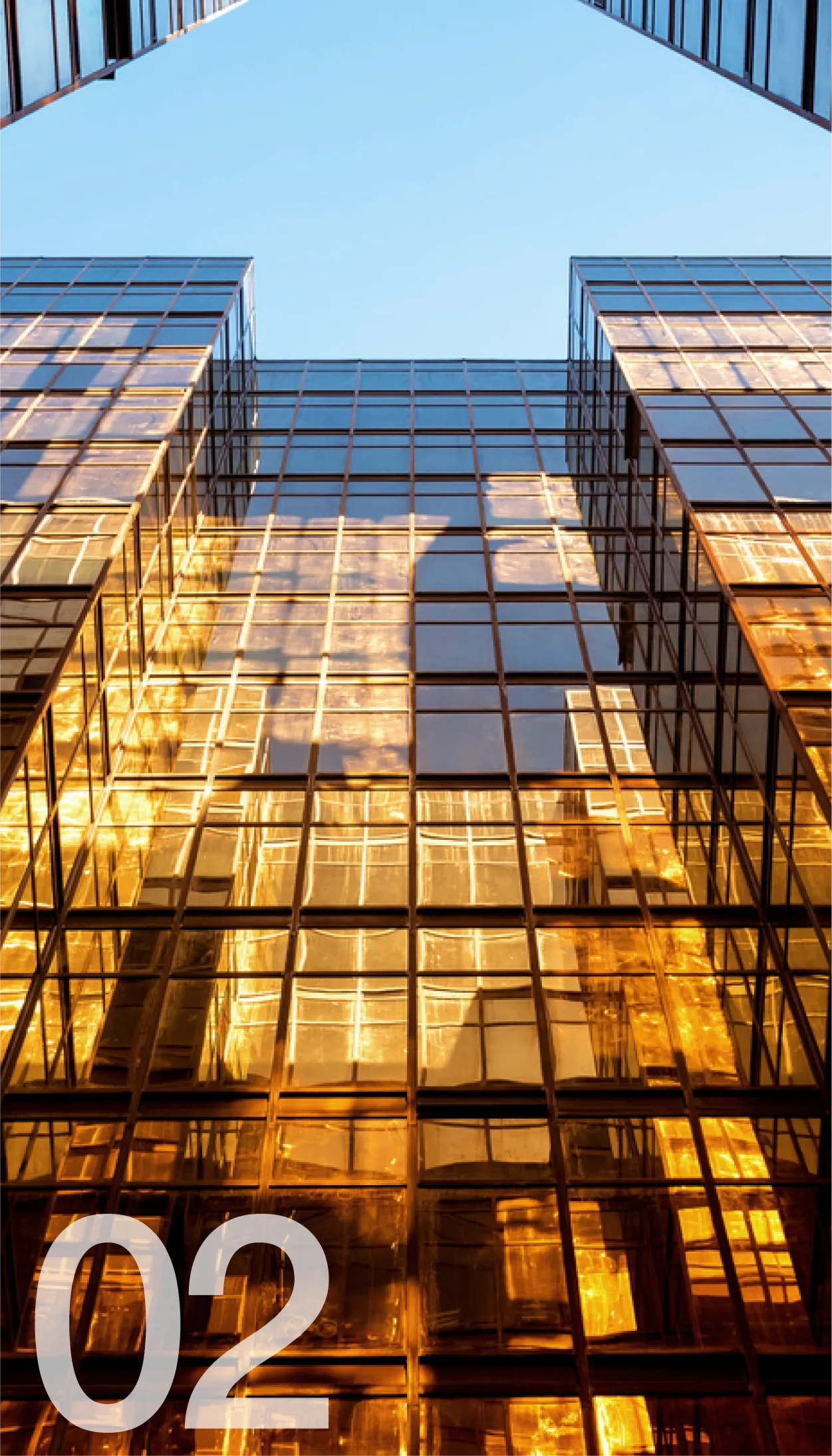 Market Entry & Local Activation